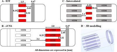 A combined cuff electrode array for organ-specific selective stimulation of vagus nerve enabled by Electrical Impedance Tomography